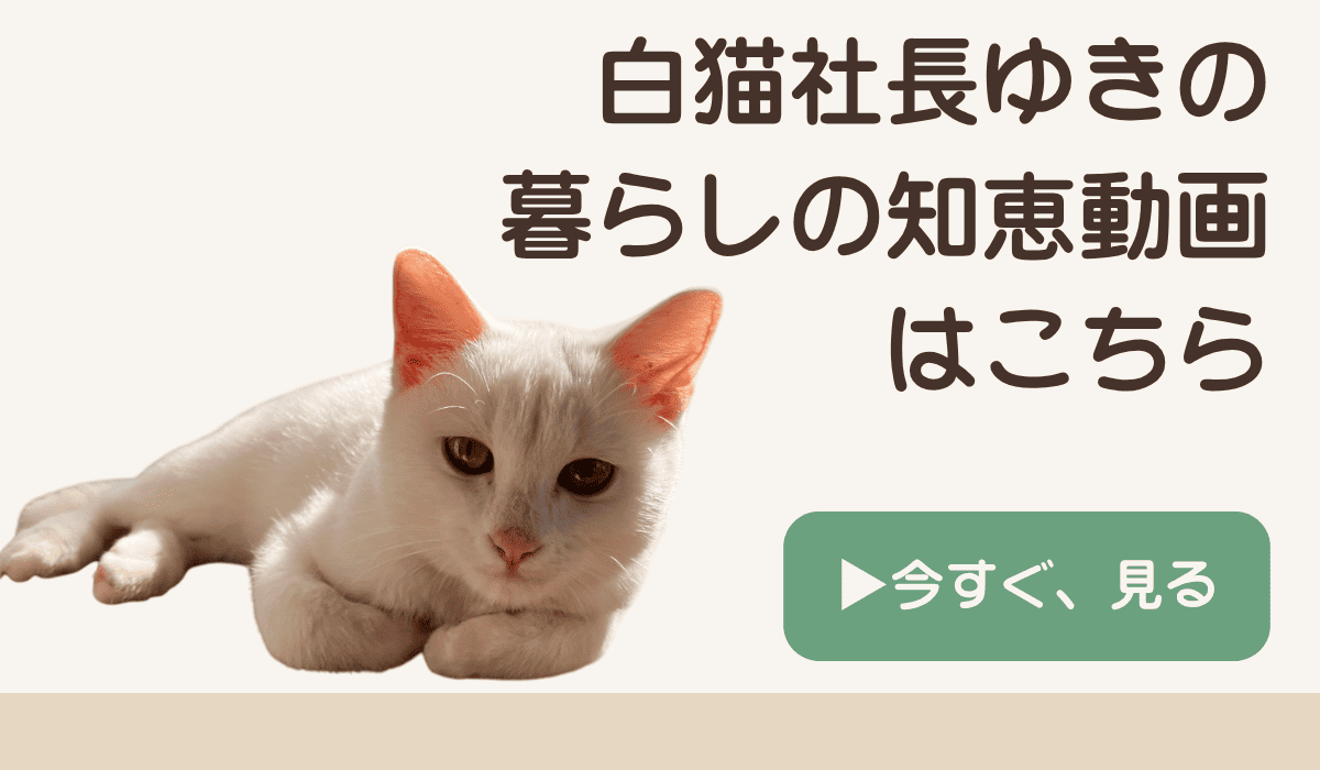 白猫社長ゆきの生活の知恵動画